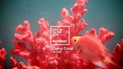 Living Coral is the Pantone Color of the Year 2019!